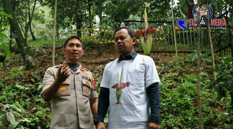 Wakapolresta Bogor (AKBP.  M.  Arsal Sahban)  saat menyaksikan momentum mekarnya bunga bangkai di kebun raya bogor. 