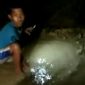 Seorang bocah diketahui warga tengah mencari ikan di jalan rusak/berlubang penghubung Desa Tanggumong dan Desa Paseyan, Sampang. 