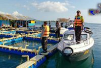 Petugas kepolisian saat melakukan penyisiran. 
