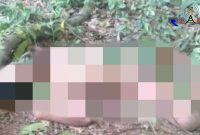 Mayat yang ditemukan membusuk di Sungai Cangka di Dusun Demangan Kelurahan Tunjung Kecamatan Burneh Bangkalan. 