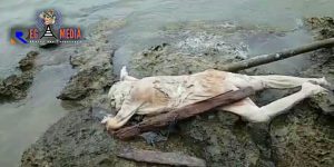Identitas Mayat Yang Ditemukan Di Pantai Ketapang Sampang Masih Belum Diketahui