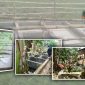 Lengkap dengan papan nama proyek; tiga lokasi proyek Tangki Septik  dikerjakan PU Gorut yang  dianggap masalah dan berdampak buruk kepada warga. 