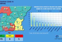 Data peta sebaran Covid-19 di Kabupaten Sampang, Madura.