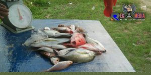 Akibat Ombak Besar Harga Ikan di Aceh Selatan Melambung