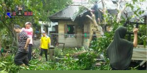 Angin Kencang Hantam Sejumlah Rumah Di Aceh Selatan