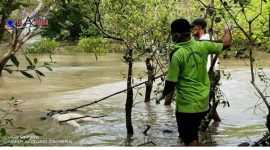 Petugas saat berusaha mengevakuasi penemuan mayat membusuk di pesisir pantai Kwanyar Bangkalan