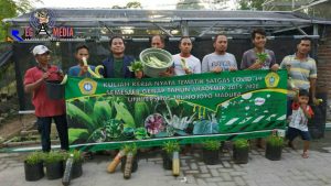 Sayur Organik, Ketahanan Pangan Dimasa Pandemi Covid-19