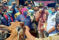 Gubernur Jawa Timur (Khofifah Indar Parawansa) didampingi Bupati Bangkalan (R. Abd. Latif Amin Imron) saat meninjau pasar hewan (sapi) di Tanah Merah, Bangkalan. 