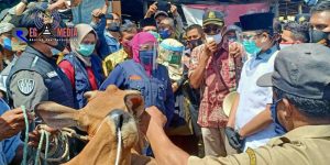 Gubernur Jatim Tinjau Pasar Sapi Tanah Merah Bangkalan