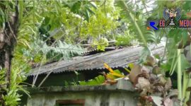 Tampak atap rumah warga Gampong Gunung Cut rusak akibat angin kencang. 