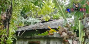 Angin Kencang Hantam Sejumlah Rumah di Aceh Selatan