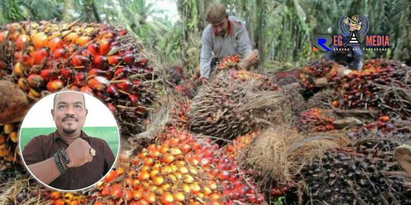 Kiri; Ketua Forum Masyarakat Anti Korupsi (Ali Zamzami).