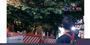 Hujan Lebat di Cimahi, Rumah Warga & Jaringan Listrik Jadi Sasaran Pohon Tumbang