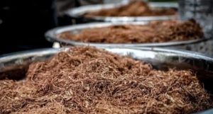 Polisi Grebek Tempat Kos Produksi Tembakau Gorila di Bandung