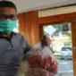 Harga jual sayuran selama pandemi covid-19 anjlok.