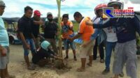 Protes Jalan Berlubang, Puluhan Pengendara Bentor di Gorut Tanami Pohon Pisang Dijalan