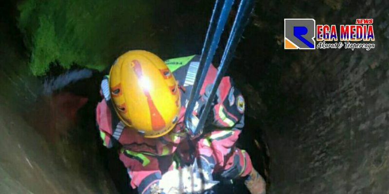 Aksi penyelamatan tim damkar terhadap kucing kampung yang tercebur kedalam sumur.