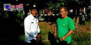 Hasil Panen Padi Aceh Selatan Terus Meningkat, Sekali Panen Capai 35 Ribu Ton