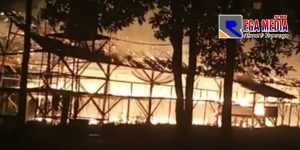 Konsleting Listrik, Ribuan Ayam di Kuta Trieng Hangus Terpanggang