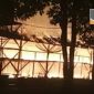 Kobaran api membakar kandang yang berisi ribuan ekor bibit ayam.
