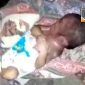 Tampak bayi sudah dalam keadaan meninggal dunia terbungkus kain dan menggunakan popok bayi.