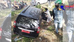 Mobil Plat Merah di Bangkalan Nyungsep Ke Sawah