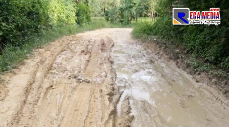 Situasi terkini salah satu jalan di Desa Ko'olan yang dikeluhkan warga.