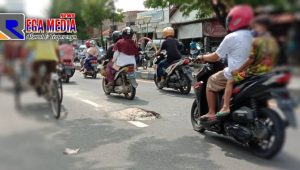 Waspada!!! Jalan Berlubang di Sampang Kota Bahayakan Pengendara