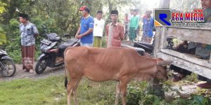 Sempat Dicuri, Seekor Sapi Milik Warga Sumenep Tak Jadi Hilang