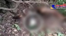 Kondisi mayat perempuan ditemukan disemak-semak diatas bukit perbatasan Desa Paopale Laok.