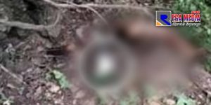 Breaking News: Warga Ketapang Sampang Temukan Mayat Perempuan