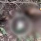 Kondisi mayat perempuan ditemukan disemak-semak diatas bukit perbatasan Desa Paopale Laok.