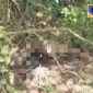 Kondisi mayat saat ditemukan pertama kali, pada Rabu (27/1/21) siang, di Gunung Tinggi Desa Popale Laok, Kecamatan Ketapang, Sampang.