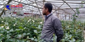 Petani Bunga Mawar di Bandung Barat Tidak Harapkan PPKM Jilid III