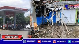 Akibat pohon tumbang di SPBU Tanjungsari, sebagian rumah warga rusak parah.