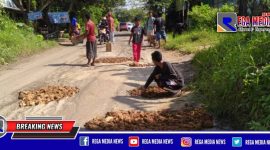 Sebagian warga Tanah Merah Bangkalan tengah memperbaiki jalan rusak dan berlubang secara swadaya.