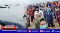 Gubernur Jatim Tinjau Gerombolan Paus Terdampar di Pantai Modung Bangkalan