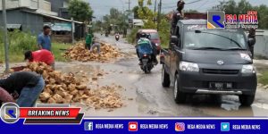 Sindir Pemerintah, Warga Arosbaya Bangkalan Perbaiki Jalan Rusak Berlubang
