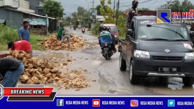 Sindir Pemerintah, Warga Arosbaya Bangkalan Perbaiki Jalan Rusak Berlubang