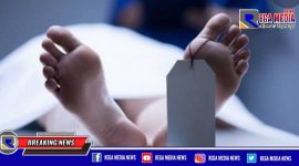Gambar ilustrasi