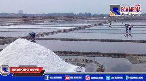 Dihadapan Komisi IV DPR RI, Menteri KKP Jelaskan Pemerintah Akan Impor 3 Juta Ton Garam