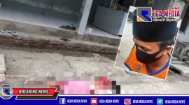 Foto korban di Tempat Kejadian Perkara/TKP (insert foto pelaku).