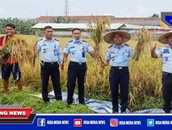 Lapas Kelas IIA Pamekasan Sukses Panen Raya Padi