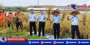 Lapas Kelas IIA Pamekasan Sukses Panen Raya Padi
