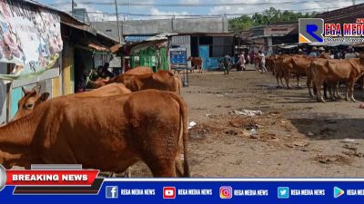 Harga Sapi di Pasar Sampang Turun Drastis, Pedagang Merugi