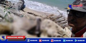 Sesosok Mayat Ditemukan Warga di Pulau Mandangin Sampang