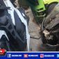 Dua unit kendaraan yang terlibat kecelakaan di jalan raya Torjunan, Kecamatan Robatal, Sampang.