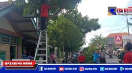 Tampak petugas kebersihan dari DLH dan Satbinmas Polres Sampang hendak lakukan pemotongan pohon rawan tumbang.
