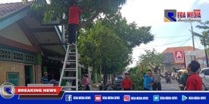 Pohon Rawan Tumbang di Sampang Kota Jadi Sasaran Satbinmas