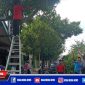 Tampak petugas kebersihan dari DLH dan Satbinmas Polres Sampang hendak lakukan pemotongan pohon rawan tumbang.